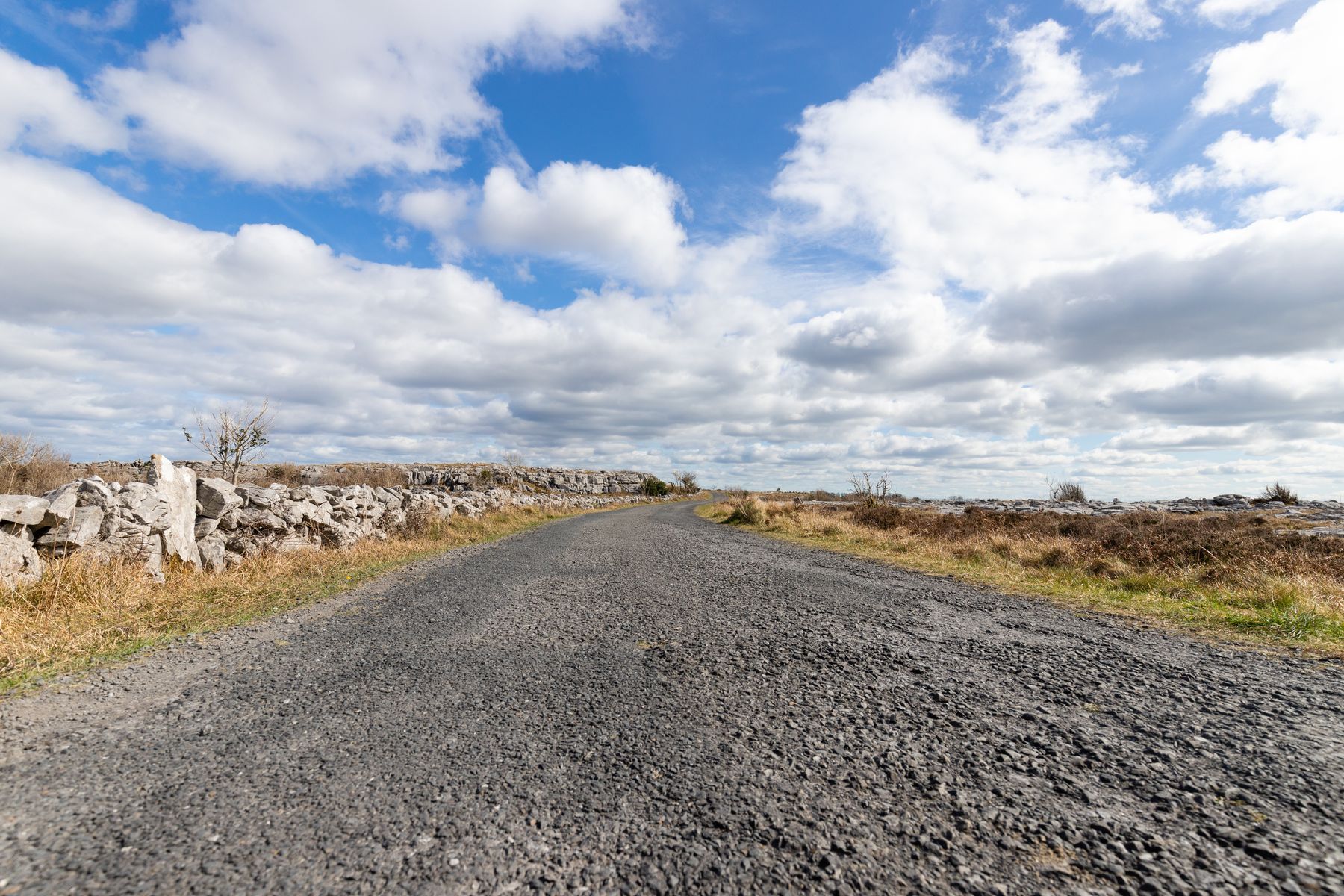 Rural road bordered by stone walls