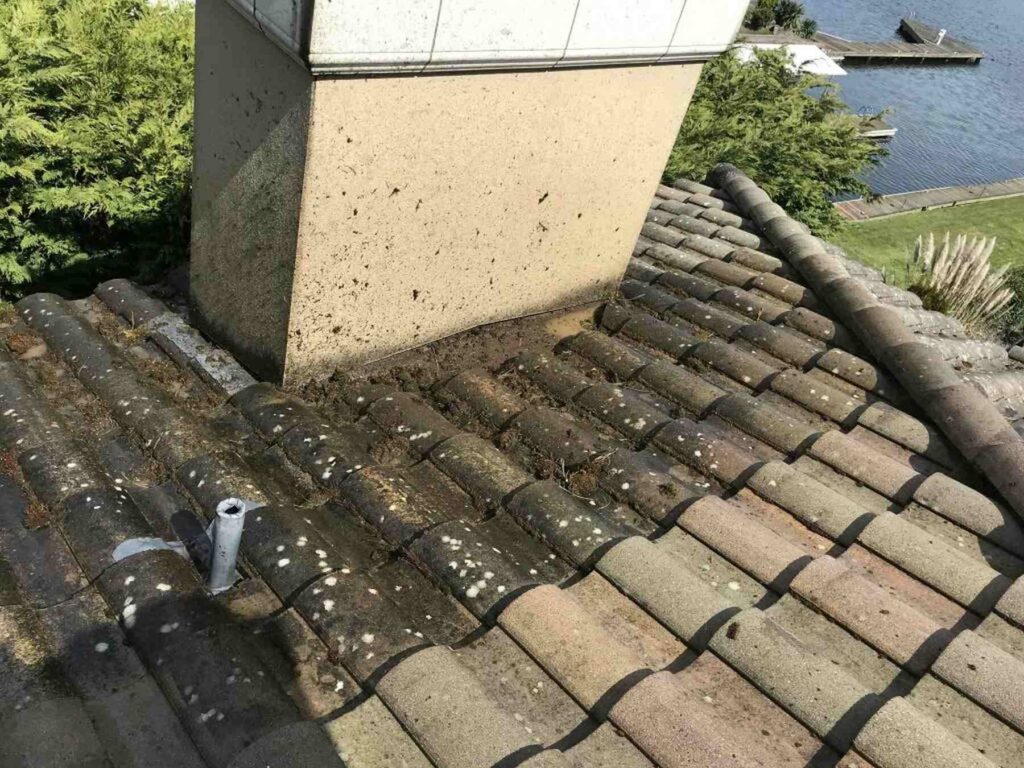 Moss-covered roof tiles around chimney