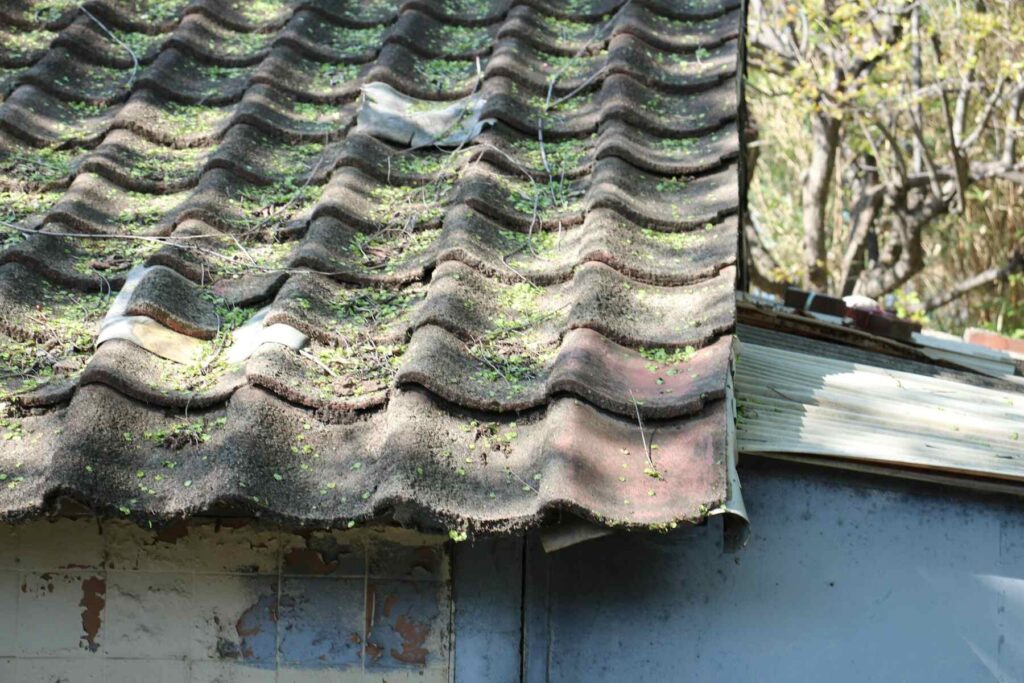 Damaged roof tiles with visible moss and wear
