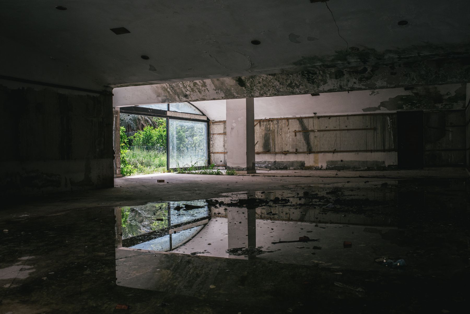 Water-damaged room with mold growth and standing water