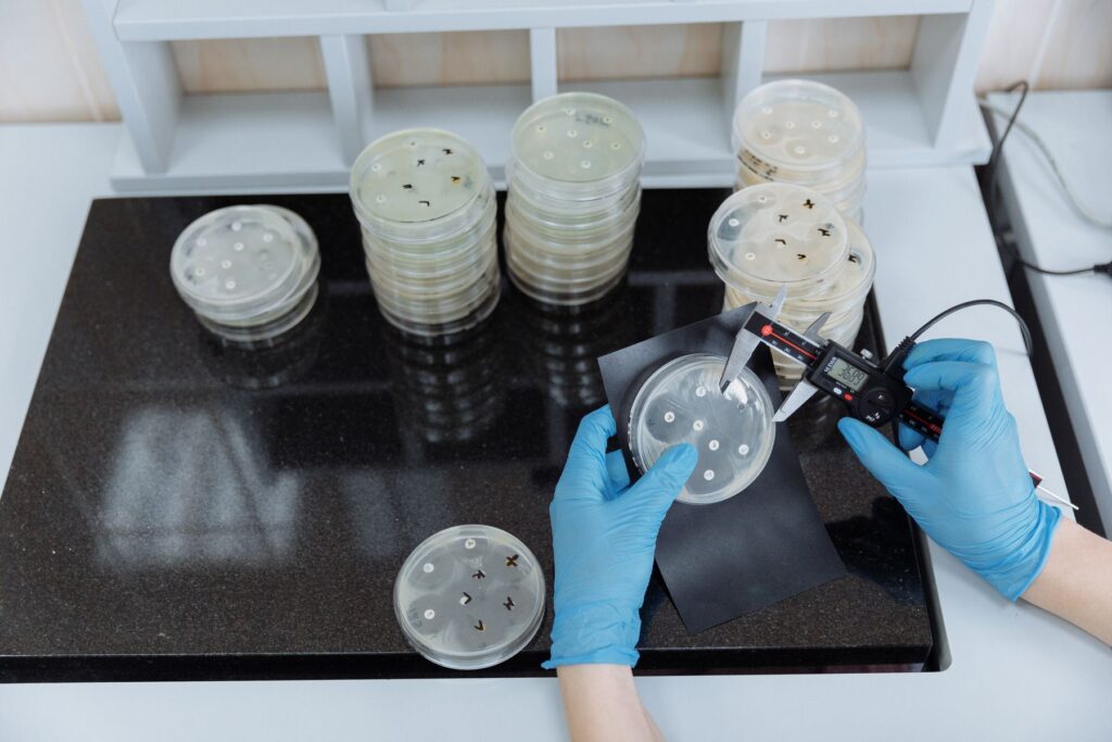 Lab technician measuring a petri dish