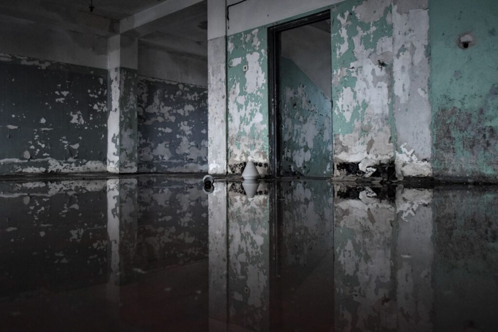 Flooded interior with peeling, damaged walls