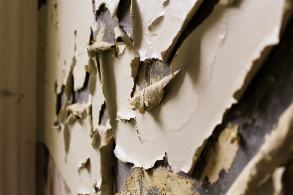 Peeling paint revealing moisture damage on interior wall