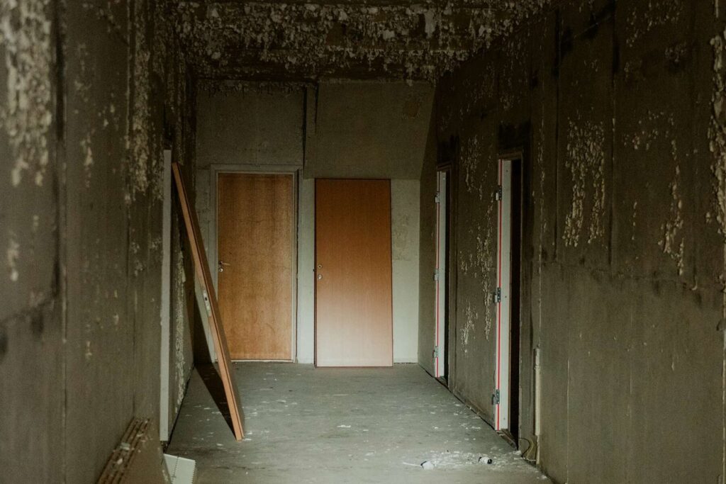 Hallway with visible mold and peeling walls