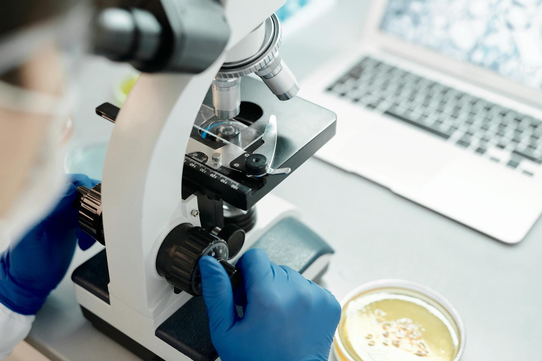 Scientist examining mold sample under microscope