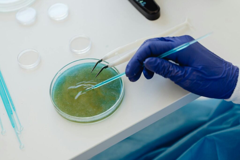 Gloved hand testing sample in petri dish