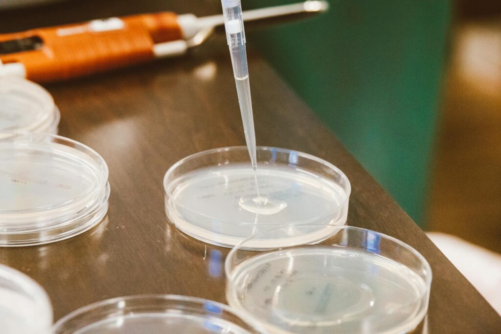 Pipette adding liquid to a petri dish in a lab