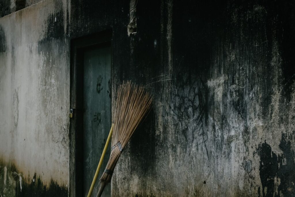 Black mold growing on an exterior wall near a doorway