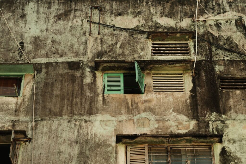 Building exterior with widespread mold and moisture staining