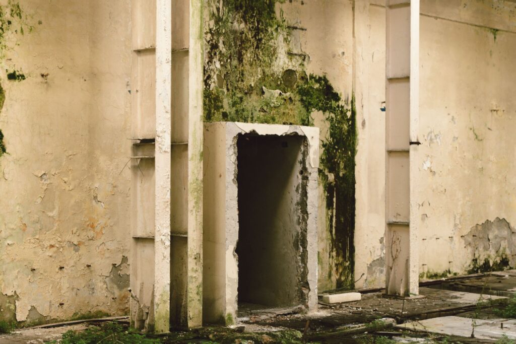 Abandoned structure with heavy mold growth on damaged walls