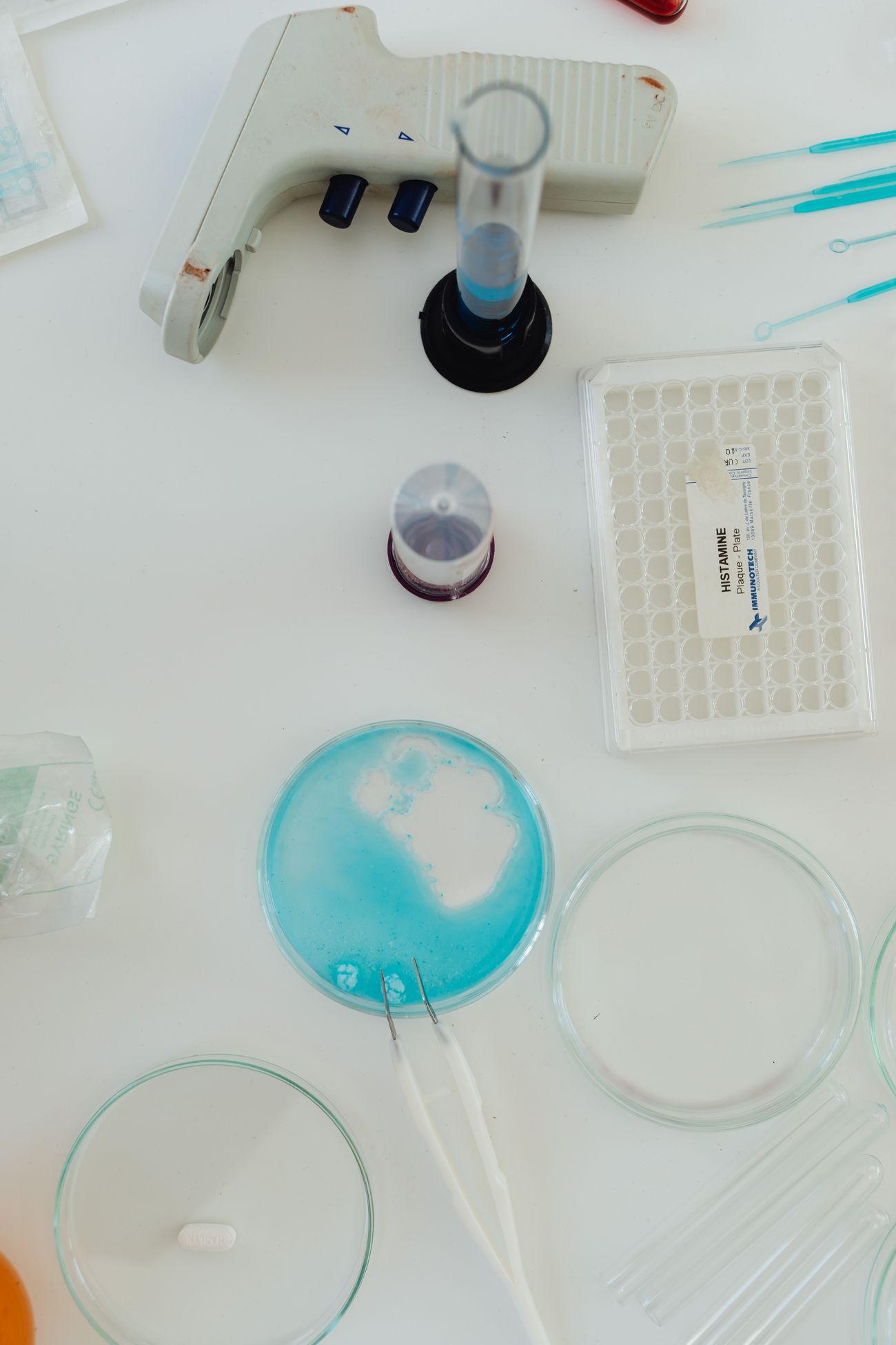 Laboratory equipment used for mold sample analysis and testing
