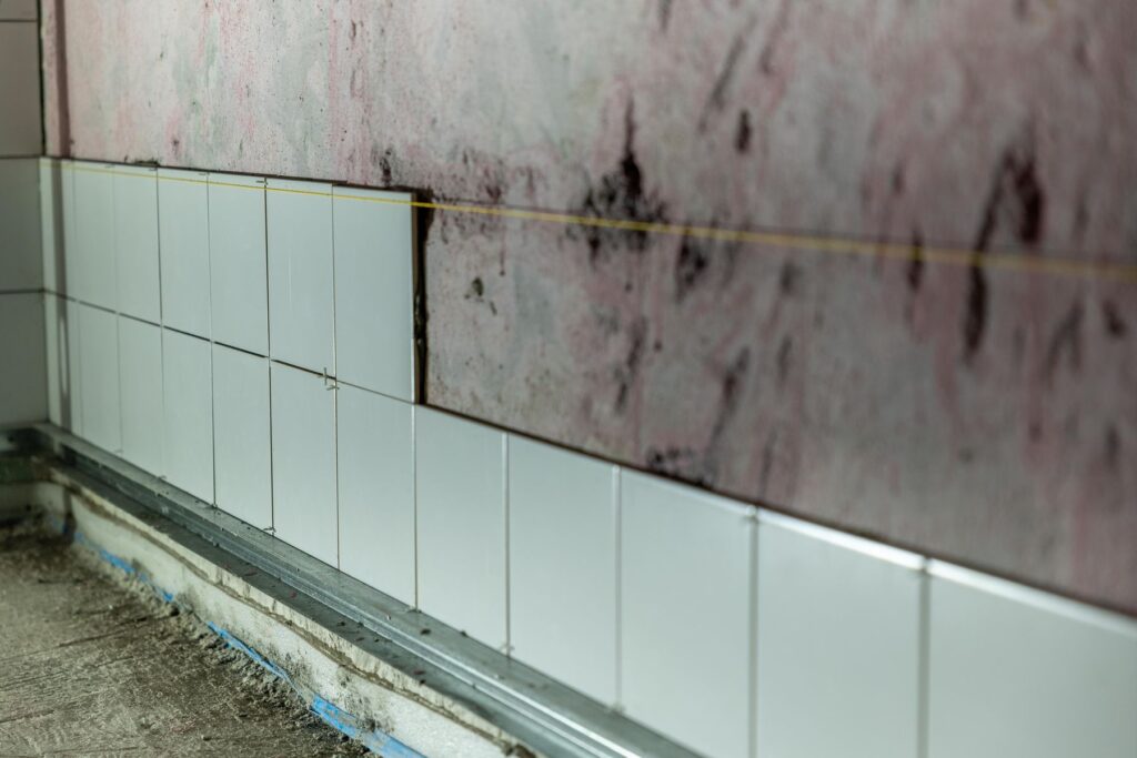 Close-up of wall tiles being installed during renovation