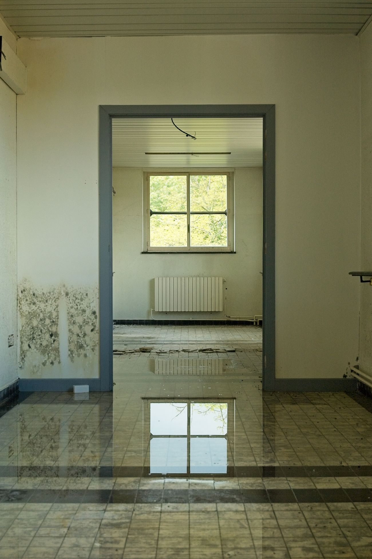 Mold growth and standing water inside a damaged room