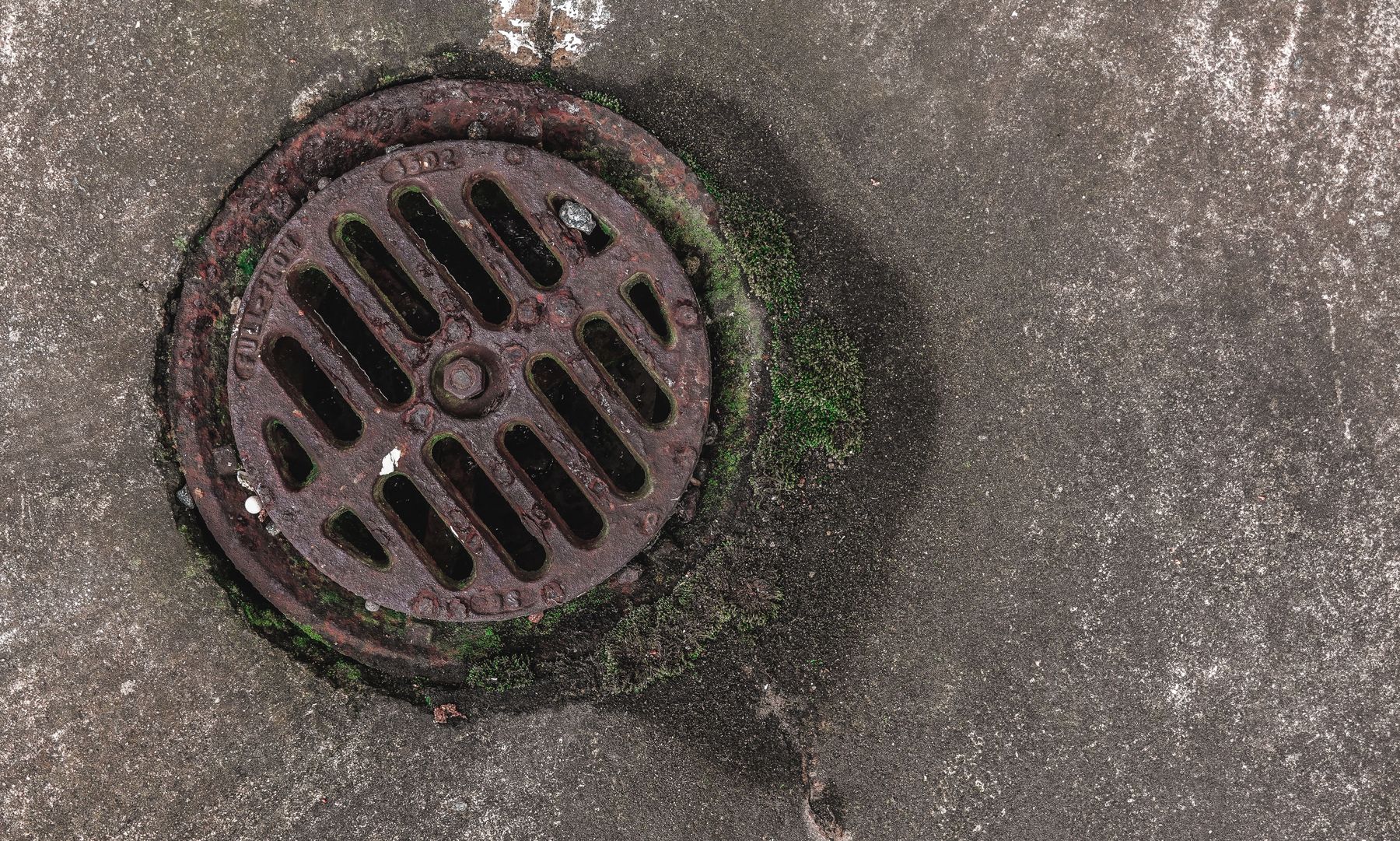 Rusty circular drain grate surrounded by moss on a weathered concrete surface